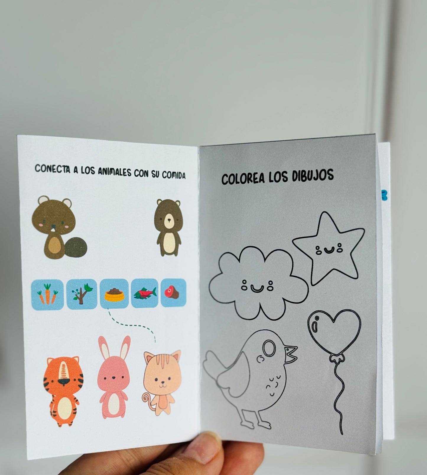 Activity Book Mediano, Chico y Mini 2026